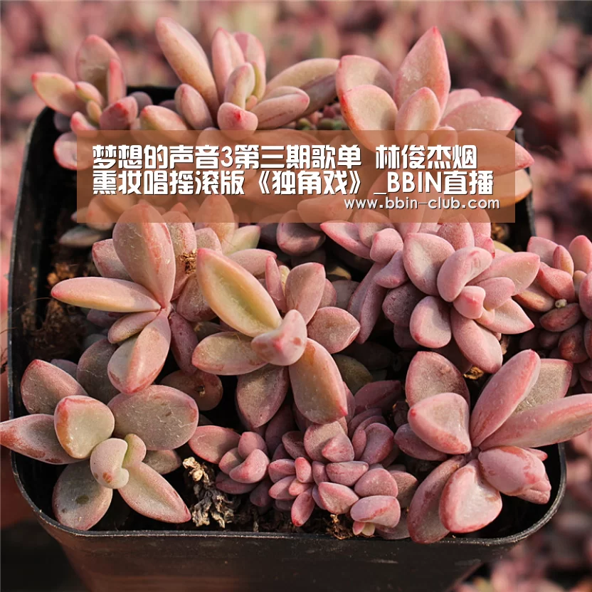 BBIN百家乐