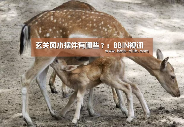 BBIN视讯